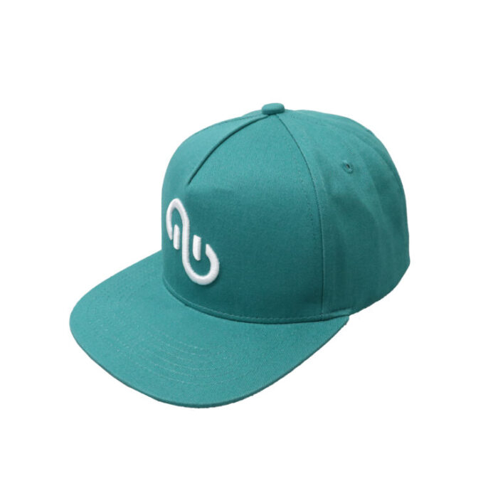 Eleveight-Cap-Brand-Green-1-768x768 PAF Braaï #19 + T Shirt STR  ou Casquettes ou Bonnet avec Concert 04/07/2025 – Image 11